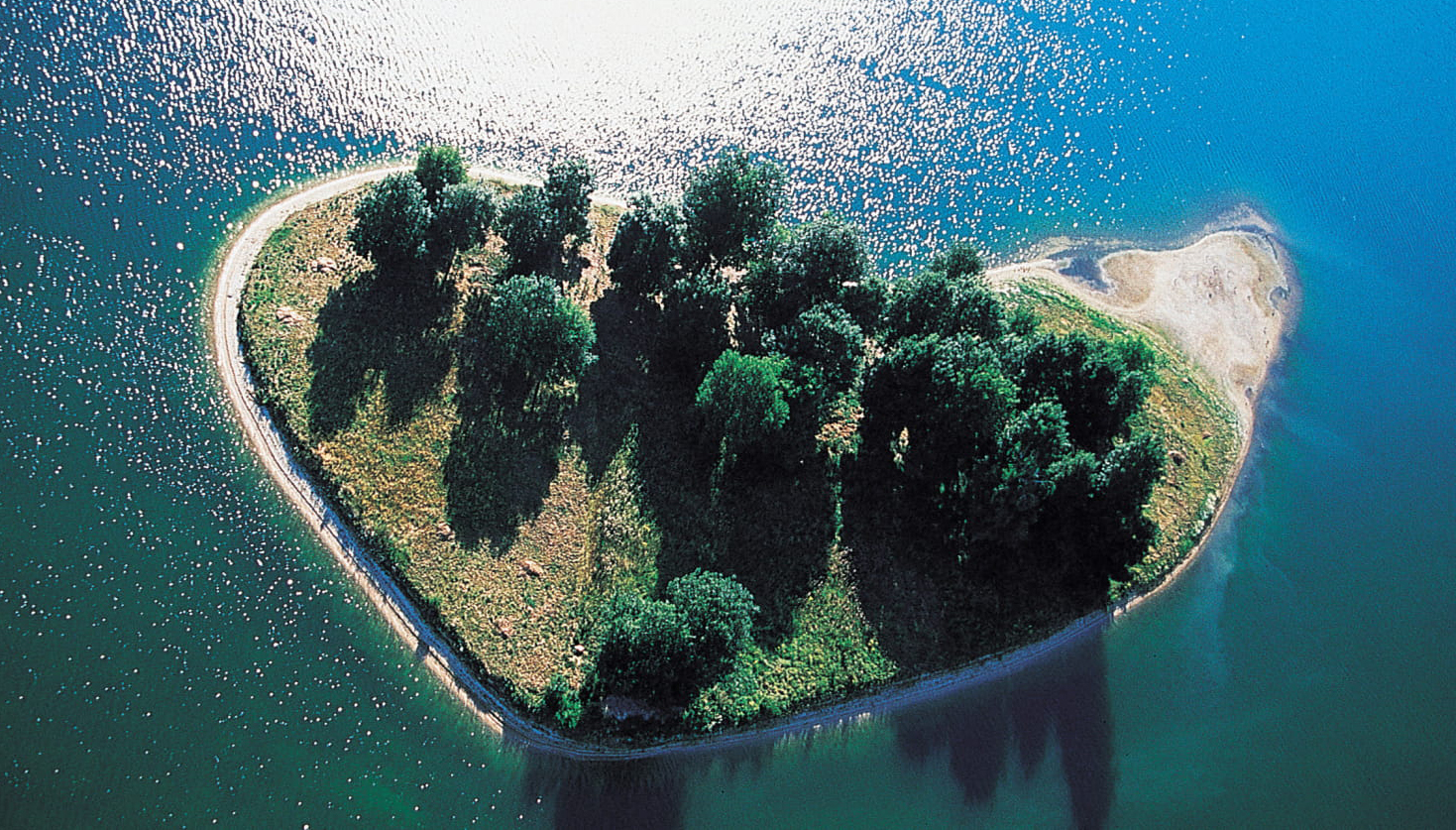 Visite et découverte des oiseaux de la réserve écologique des Maillys